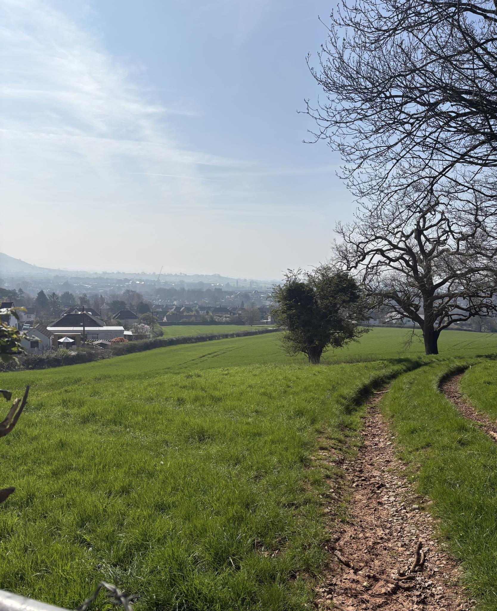 View from the hillside looking across the green fields toward Wells